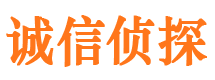 冕宁调查事务所